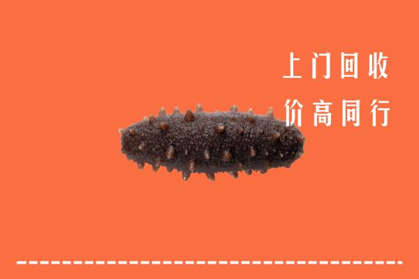 鲁甸县回收海参