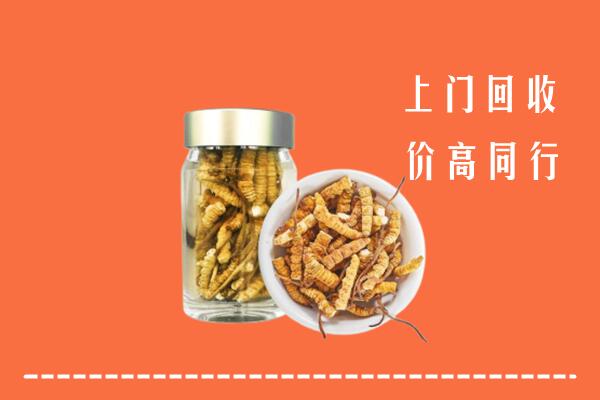 鲁甸县回收冬虫夏草